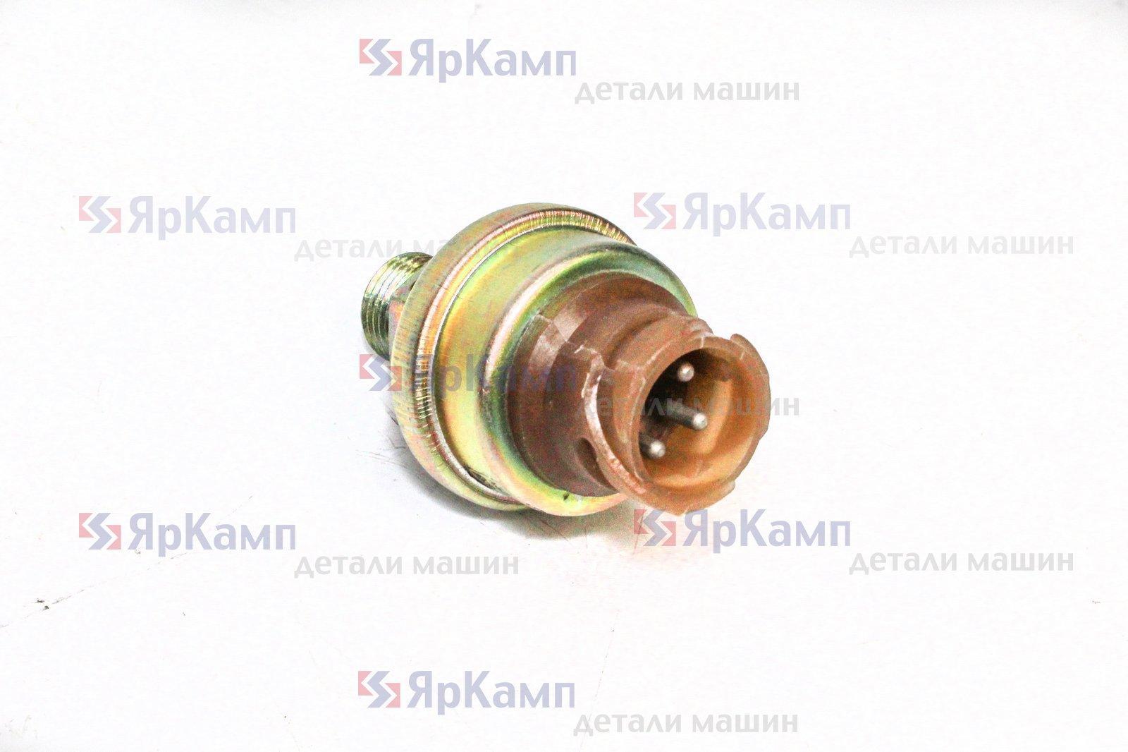 АДЮИ.406222.005-01 Датчик (ДДЭ-08-02) KAMAZ, фото 2